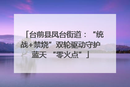 台前县凤台街道：“统战+禁烧”双轮驱动守护蓝天 “零火点”