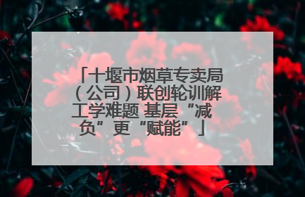 十堰市烟草专卖局（公司）联创轮训解工学难题 基层“减负”更“赋能”