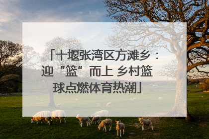 十堰张湾区方滩乡：迎“篮”而上 乡村篮球点燃体育热潮