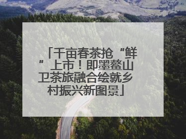 千亩春茶抢“鲜”上市！即墨鳌山卫茶旅融合绘就乡村振兴新图景