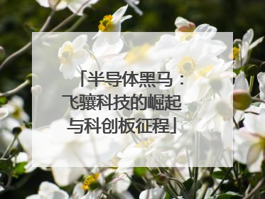 半导体黑马：飞骧科技的崛起与科创板征程