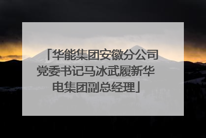华能集团安徽分公司党委书记马冰武履新华电集团副总经理