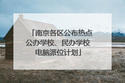 南京各区公布热点公办学校、民办学校电脑派位计划