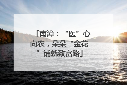 南漳：“医”心向农，朵朵“金花”铺就致富路