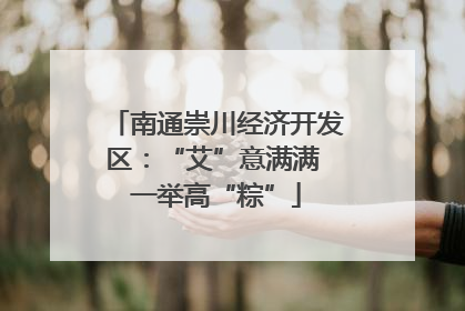 南通崇川经济开发区：“艾”意满满 一举高“粽”
