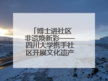 博士进社区 非遗焕新彩——四川大学携手社区开展文化遗产日特别活动