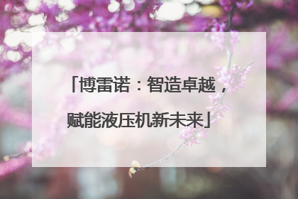 博雷诺：智造卓越，赋能液压机新未来