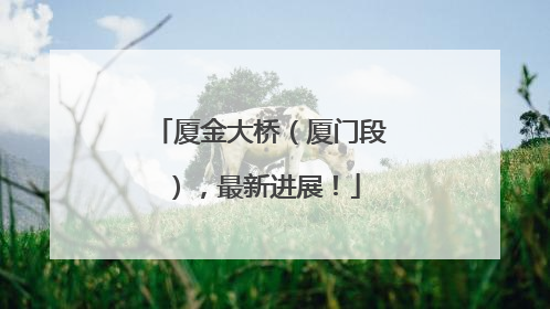 厦金大桥（厦门段），最新进展！