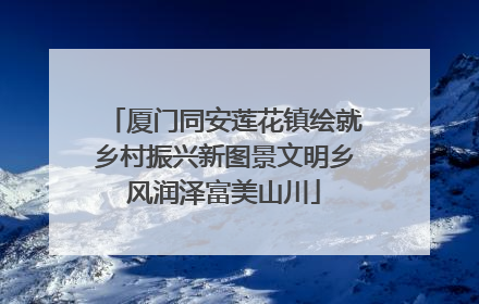 厦门同安莲花镇绘就乡村振兴新图景文明乡风润泽富美山川