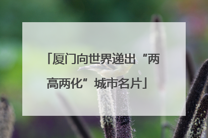 厦门向世界递出“两高两化”城市名片