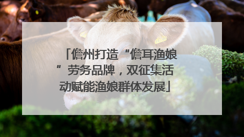 儋州打造“儋耳渔娘”劳务品牌，双征集活动赋能渔娘群体发展