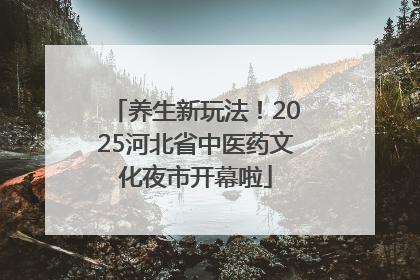 养生新玩法！2025河北省中医药文化夜市开幕啦