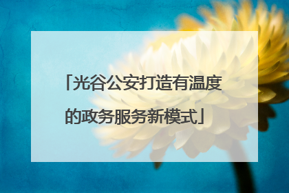 光谷公安打造有温度的政务服务新模式