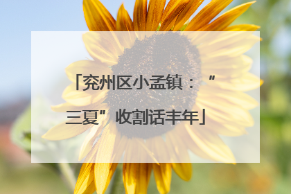 兖州区小孟镇：“三夏”收割话丰年