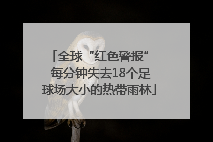 全球“红色警报”  每分钟失去18个足球场大小的热带雨林