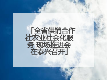 全省供销合作社农业社会化服务 现场推进会在泰兴召开