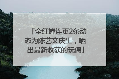 全红婵连更2条动态为陈艺文庆生，晒出最新收获的玩偶