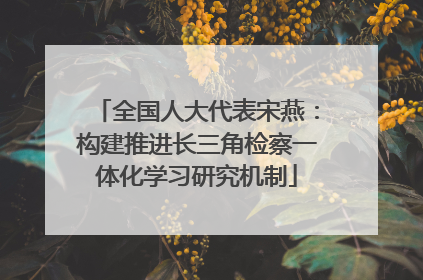 全国人大代表宋燕：构建推进长三角检察一体化学习研究机制