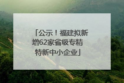 公示！福建拟新增62家省级专精特新中小企业