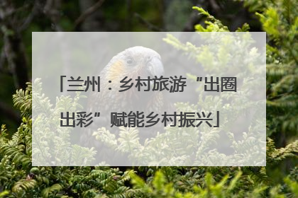兰州：乡村旅游“出圈出彩”赋能乡村振兴