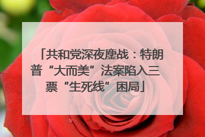 共和党深夜鏖战：特朗普“大而美”法案陷入三票“生死线”困局