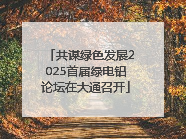 共谋绿色发展2025首届绿电铝论坛在大通召开