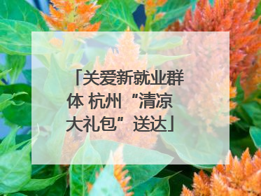 关爱新就业群体 杭州“清凉大礼包”送达
