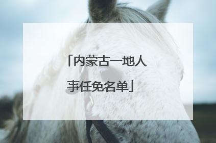 内蒙古一地人事任免名单