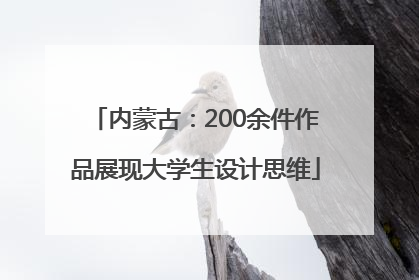 内蒙古：200余件作品展现大学生设计思维