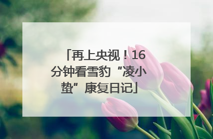 再上央视！16分钟看雪豹“凌小蛰”康复日记