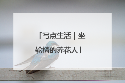 写点生活｜坐轮椅的养花人