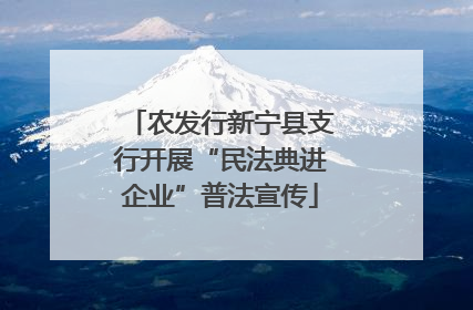 农发行新宁县支行开展“民法典进企业”普法宣传