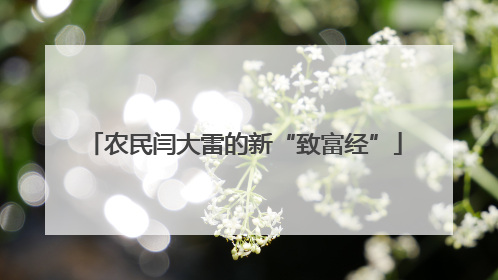 农民闫大雷的新“致富经”