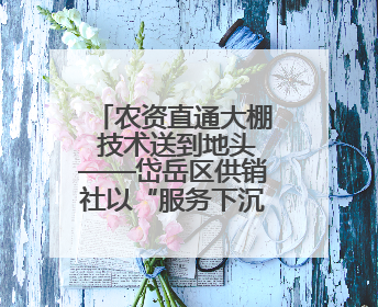 农资直通大棚 技术送到地头——岱岳区供销社以“服务下沉”打通服务“三农”最后一公里