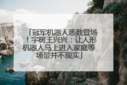 冠军机器人悉数登场！宇树王兴兴：让人形机器人马上进入家庭等场景并不现实