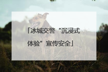 冰城交警“沉浸式体验”宣传安全