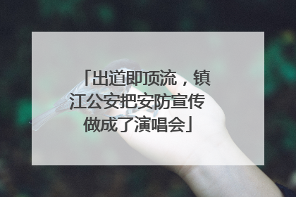 出道即顶流，镇江公安把安防宣传做成了演唱会