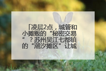 凌晨2点，城管和小摊贩的“秘密交易”？苏州吴江七都镇的“潮汐摊区”让城市管理有了人情味