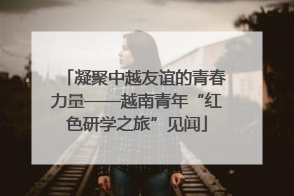 凝聚中越友谊的青春力量——越南青年“红色研学之旅”见闻