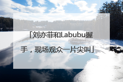 刘亦菲和Labubu握手，现场观众一片尖叫