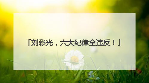 刘彩光，六大纪律全违反！