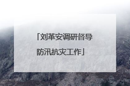 刘革安调研督导防汛抗灾工作