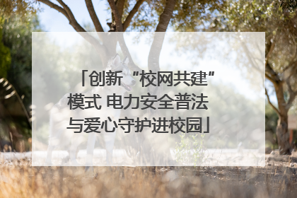 创新“校网共建”模式 电力安全普法与爱心守护进校园