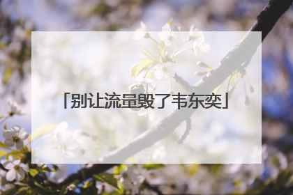 别让流量毁了韦东奕