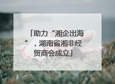 助力“湘企出海”，湖南省湘非经贸商会成立