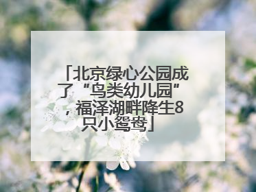 北京绿心公园成了“鸟类幼儿园”，福泽湖畔降生8只小鸳鸯