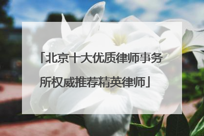 北京十大优质律师事务所权威推荐精英律师