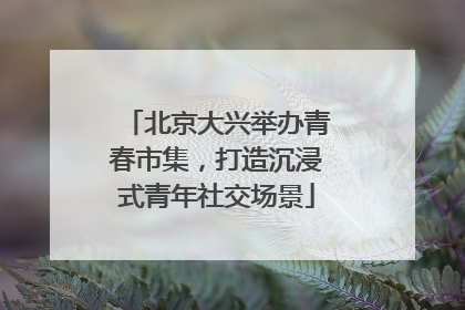 北京大兴举办青春市集，打造沉浸式青年社交场景