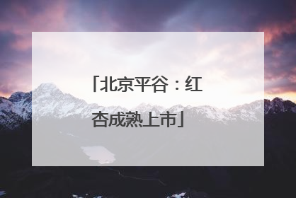 北京平谷：红杏成熟上市