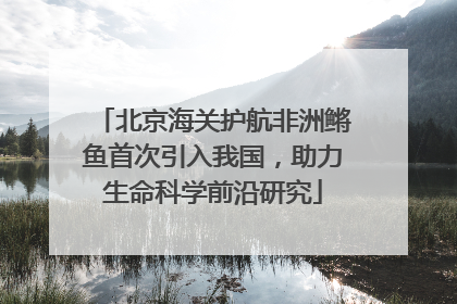 北京海关护航非洲鳉鱼首次引入我国，助力生命科学前沿研究